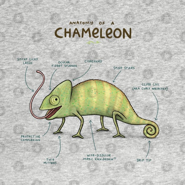 Anatomy of a Chameleon by Sophie Corrigan